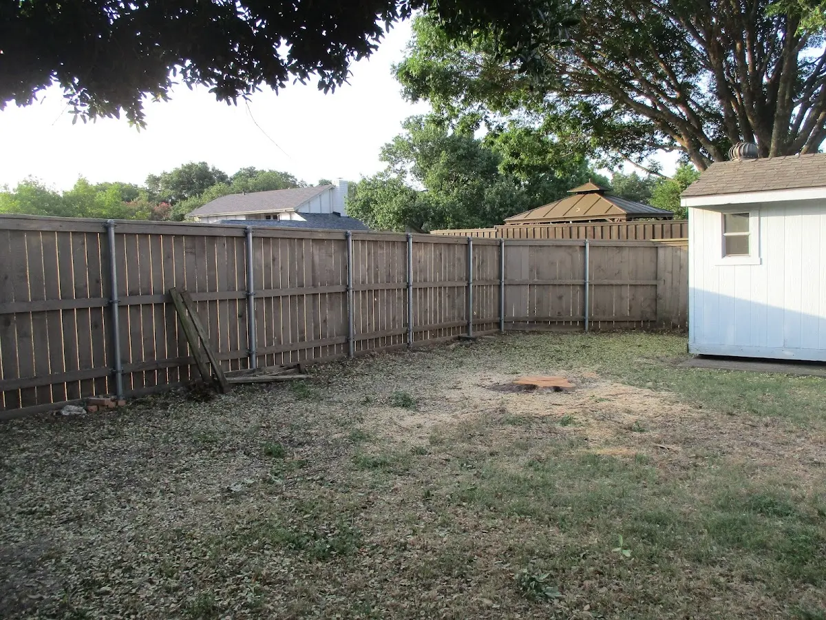 Cleared yard after professional tree removal in Garden City