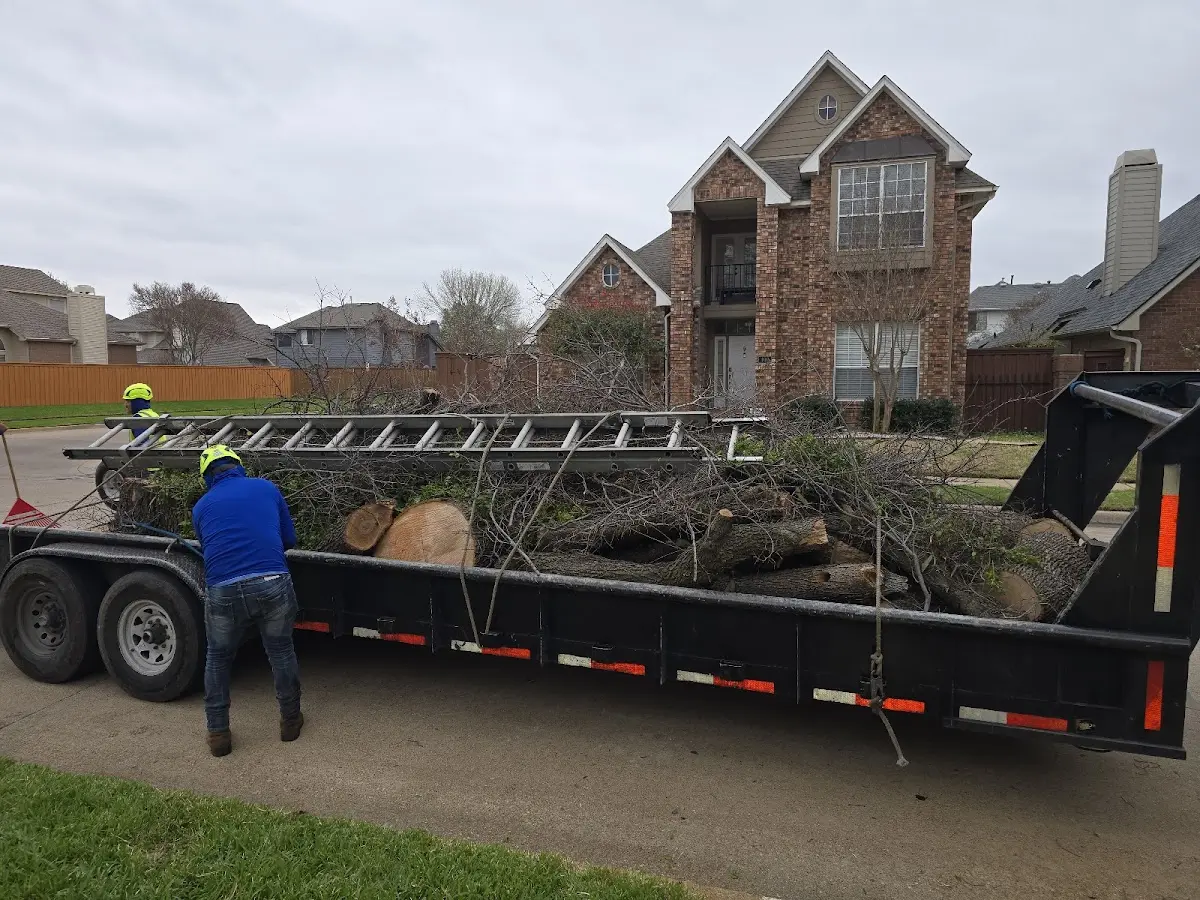 Expert Crown Reduction with proper safety equipment in Garden City